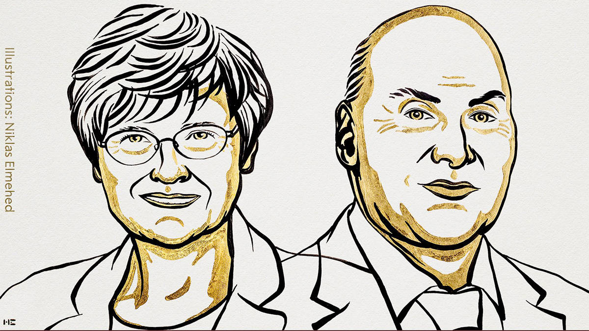 Ilustração da bioquímica Katalin Karikó e o médico Drew Weissman, vencedores do Nobel de Medicina de 2023