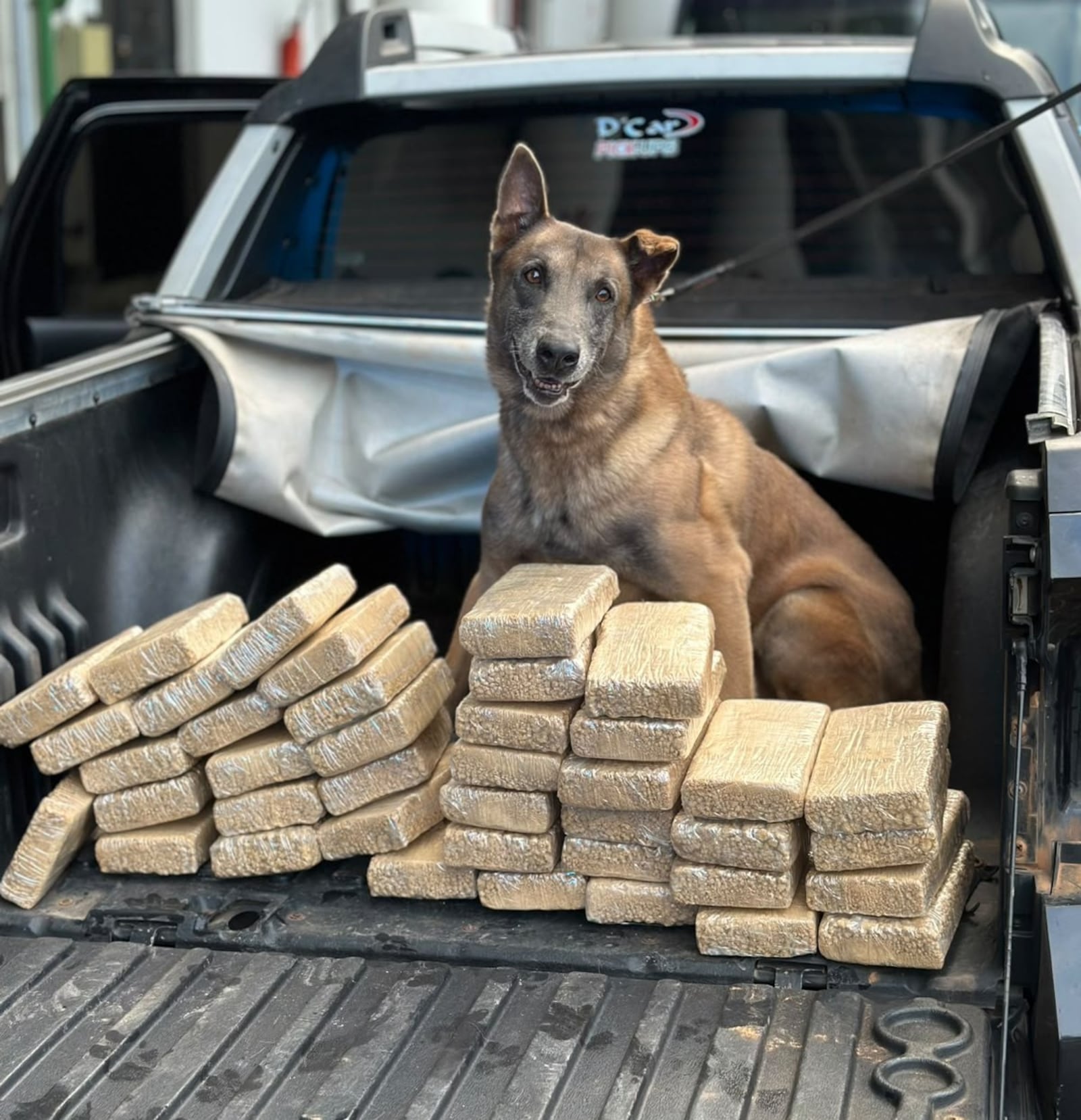 Agentes da DRE encontraram droga na lataria de veículo com ajuda de cão farejador Reprodução/Polícia Federal