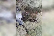 Área em que o helicóptero foi encontrado