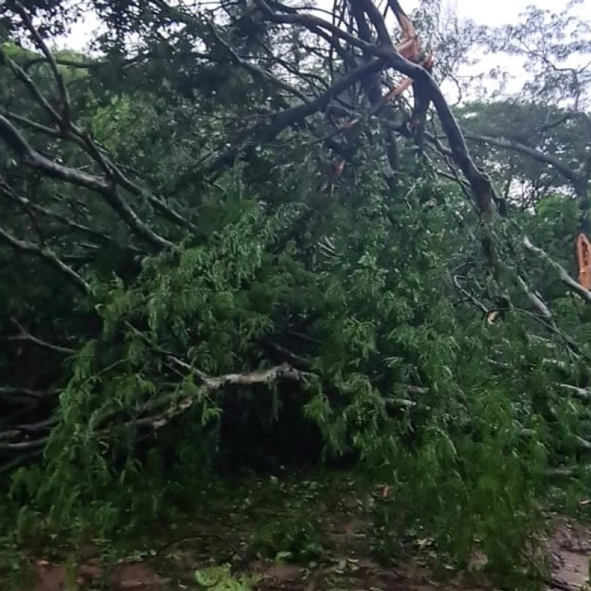 MG: temporal, granizo e ventos de até 60 km/h deixam 661 cidades sob alerta