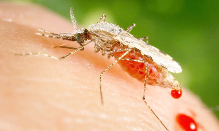 O Pacto deve entregar resultados para a África – Nandi-Ndaitwah